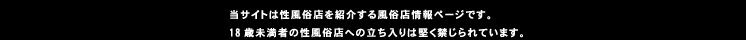 人妻風俗店を紹介するサイト